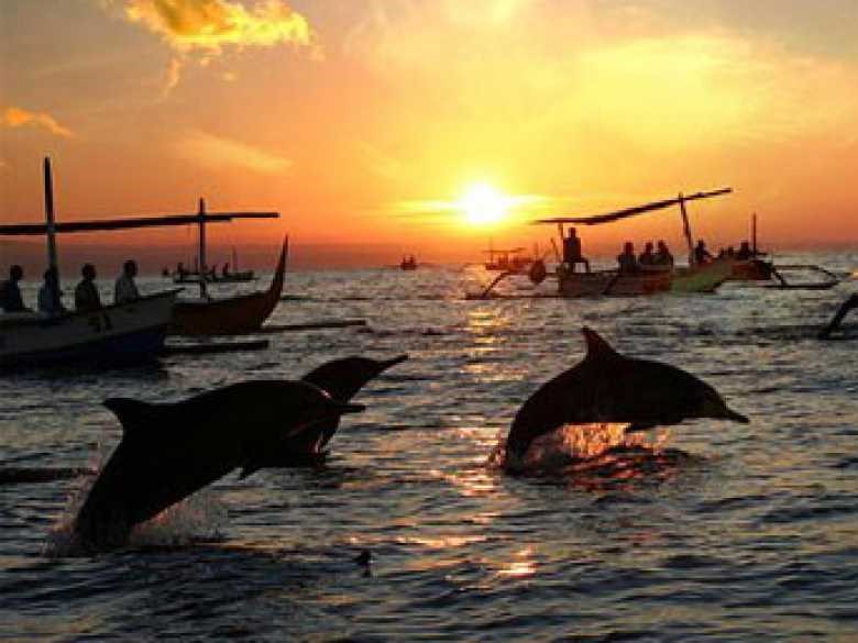 3D2N BALI DOLPHIN TOUR