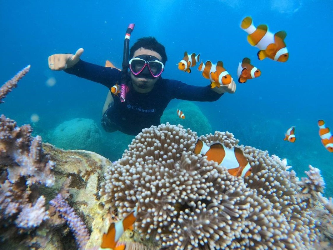 lombok exotic